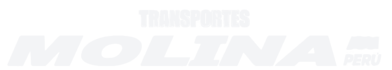 logo-white
